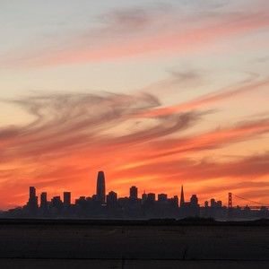 Meet your Posher, Shamina